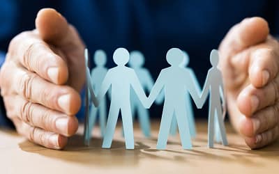 Servicios de Abogados para Representación en Amparos